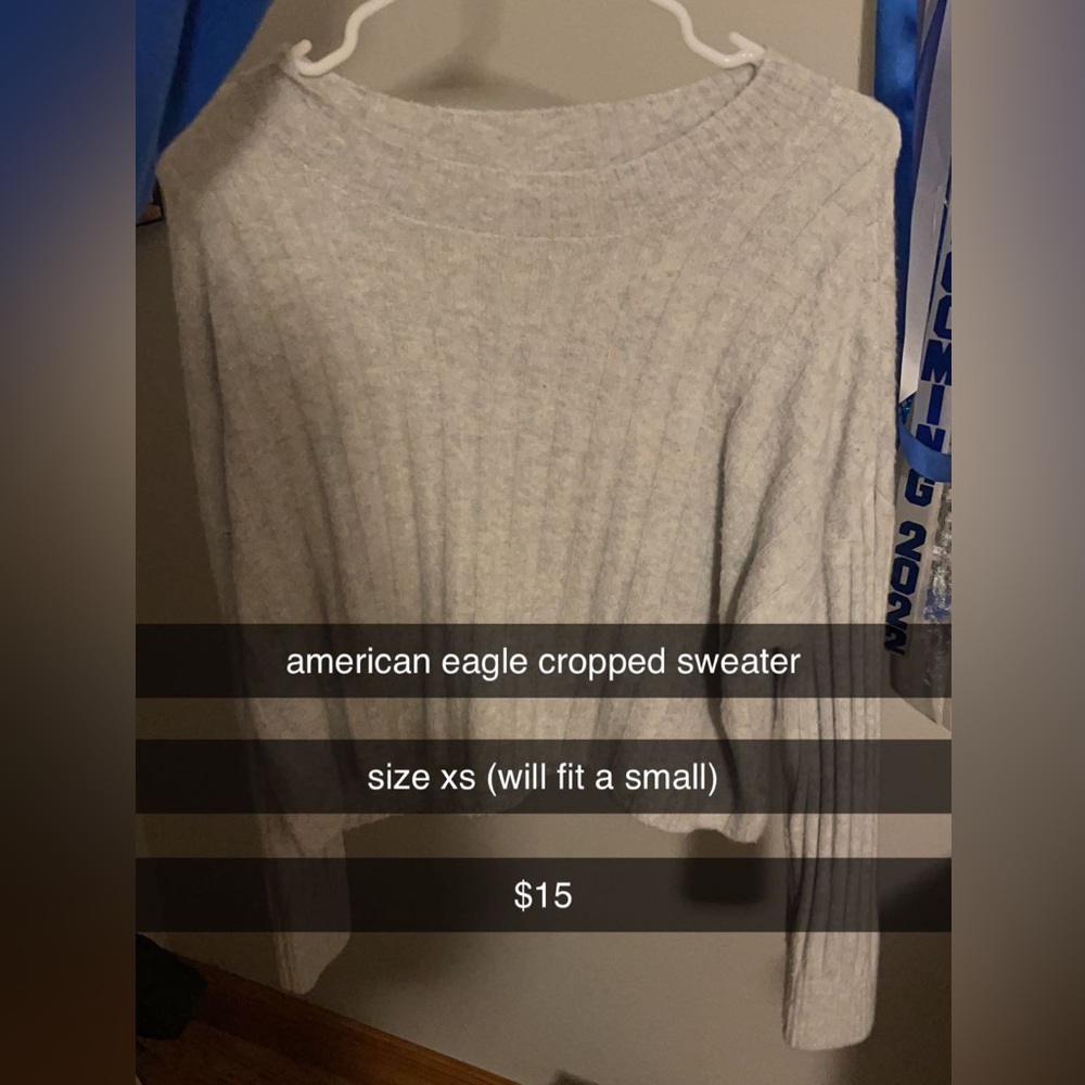 American Eagle Cropped Sweater